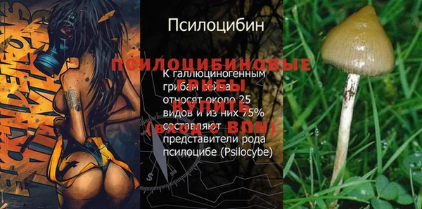 дживик Алексеевка