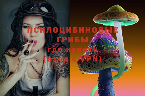 дживик Алексеевка