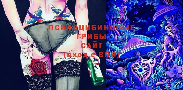 скорость Алексин