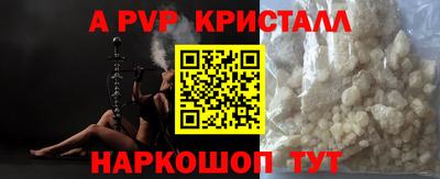 стаф Ярославль