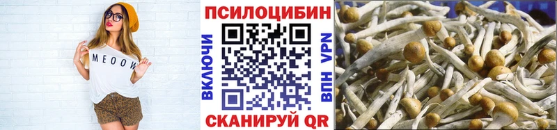 Псилоцибиновые грибы Psilocybe  Одинцово 
